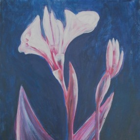 Acrylbild zweier weiss-rosa Callas vor blauem Hintergrund.